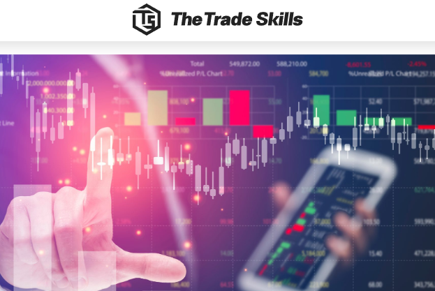 Вы сейчас просматриваете The Trade Skills (Зе Трейд Скиллс) https://thetradeskills.com