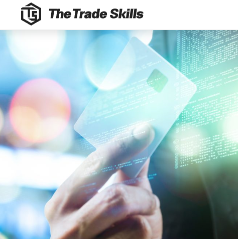 Подробнее о статье The Trade Skills (Зе Трейд Скиллс) https://thetradeskills.com