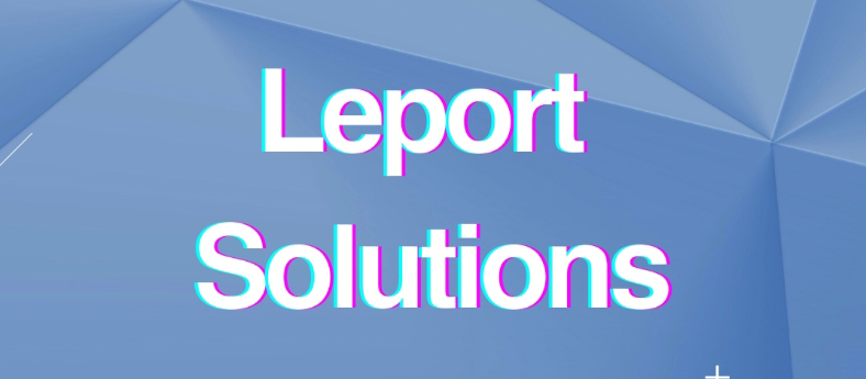 Подробнее о статье Leport Solutions отзывы