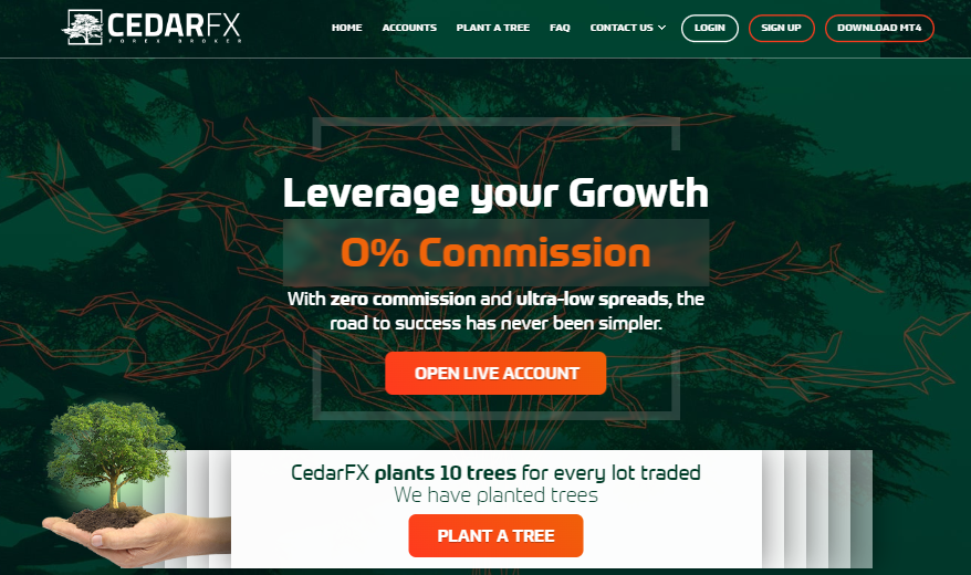 Вы сейчас просматриваете CedarFX — Отзывы