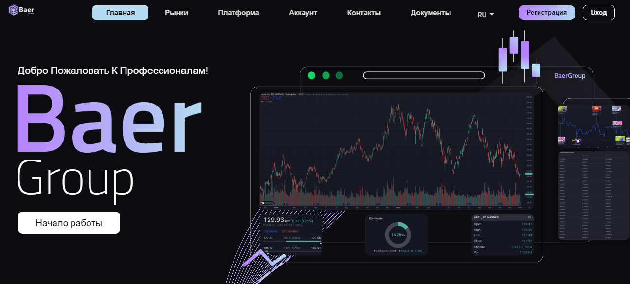 Подробнее о статье BaerGroup отзывы