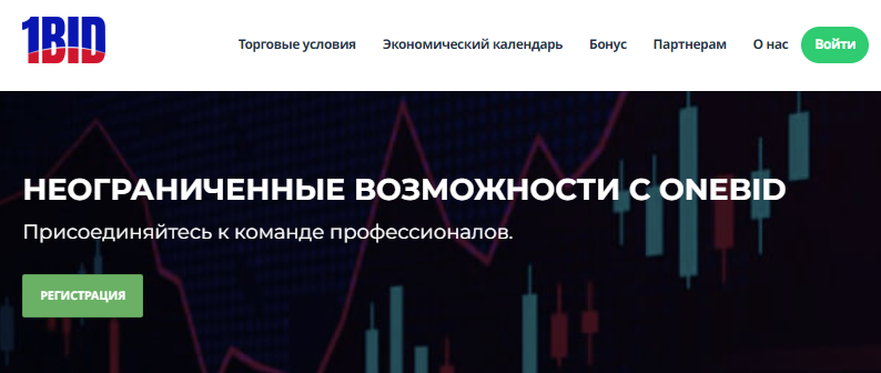 Подробнее о статье Onebid Asset отзывы