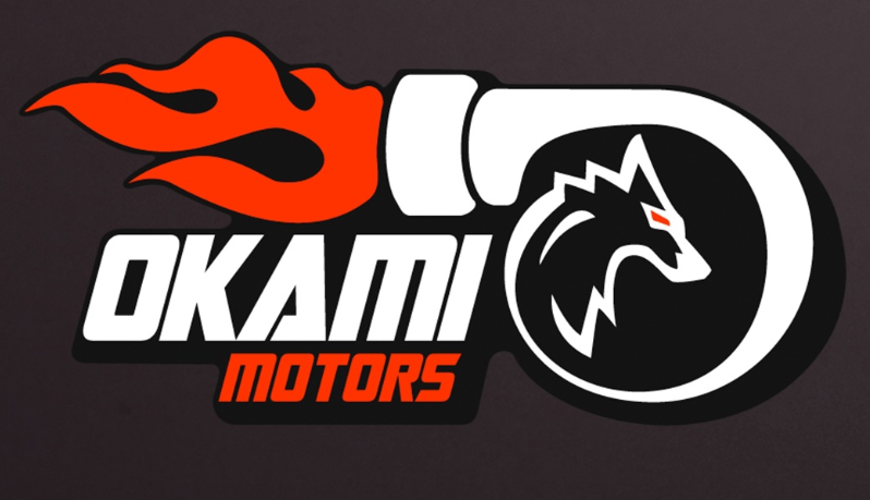 Подробнее о статье OKAMI MOTORS отзывы